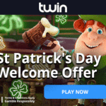 twin banner 300x250